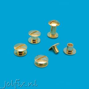 Busschroef Vermessingd  5 mm